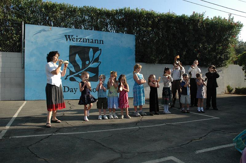 Weizmann Shofar 2007004