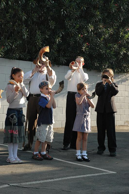 Weizmann Shofar 2007008