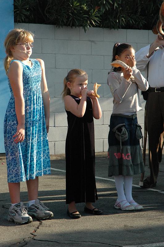 Weizmann Shofar 2007010