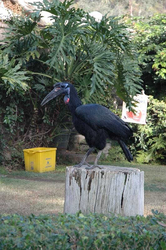 2006 weizmann zoo037