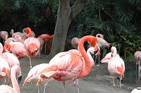 2006 weizmann zoo012